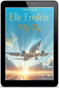 Short Story: Fly By